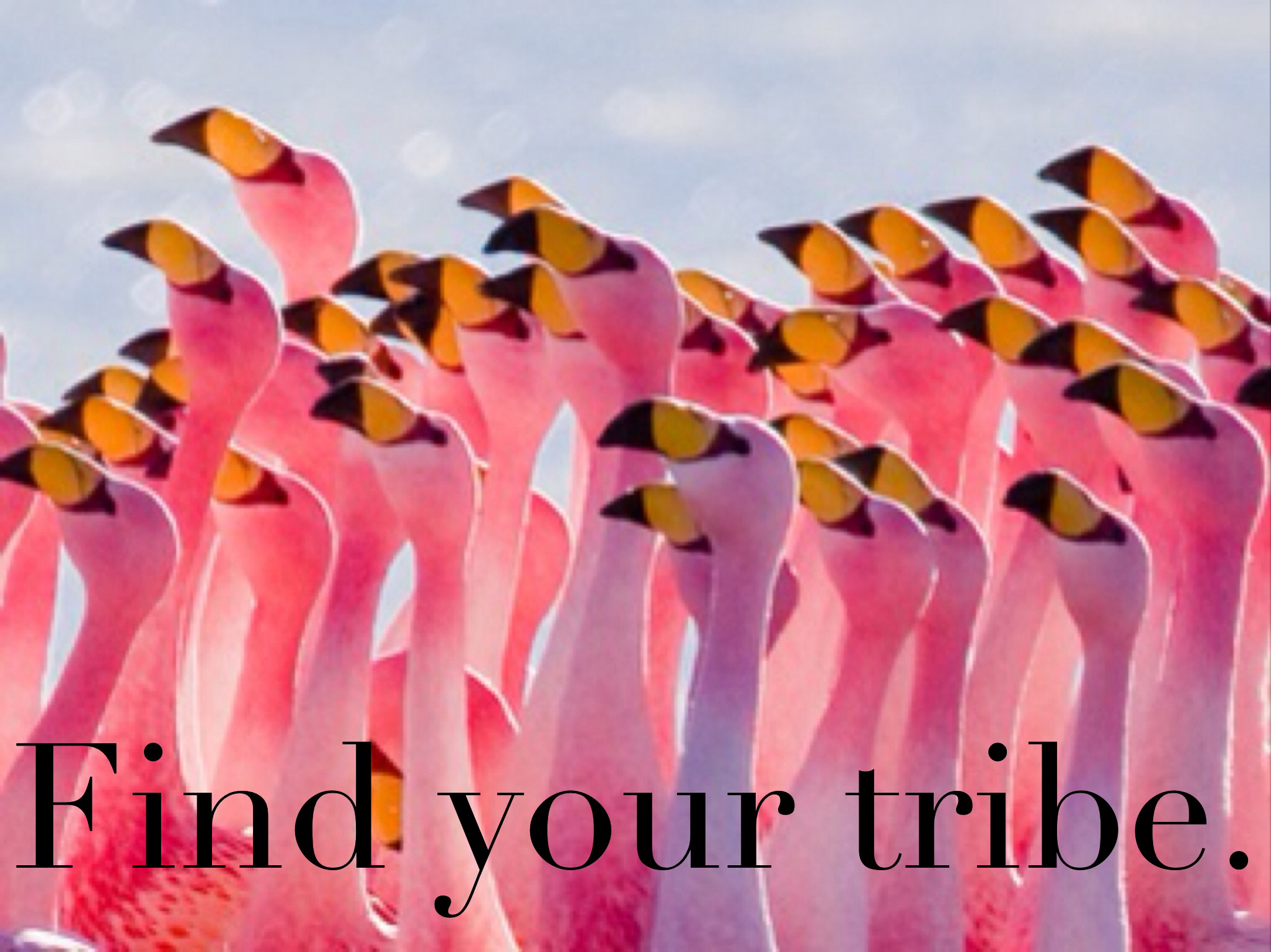Find Your Tribe:  Introducing R/Itskayybaby - 1n43xm8