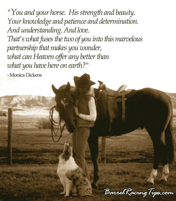 Inspirational Quotes About Riding Horses. QuotesGram