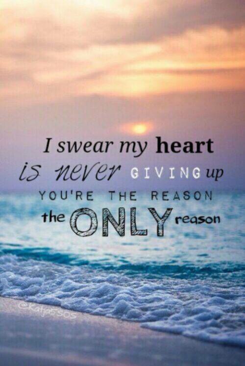 Quotes Never Be 5sos Quotesgram