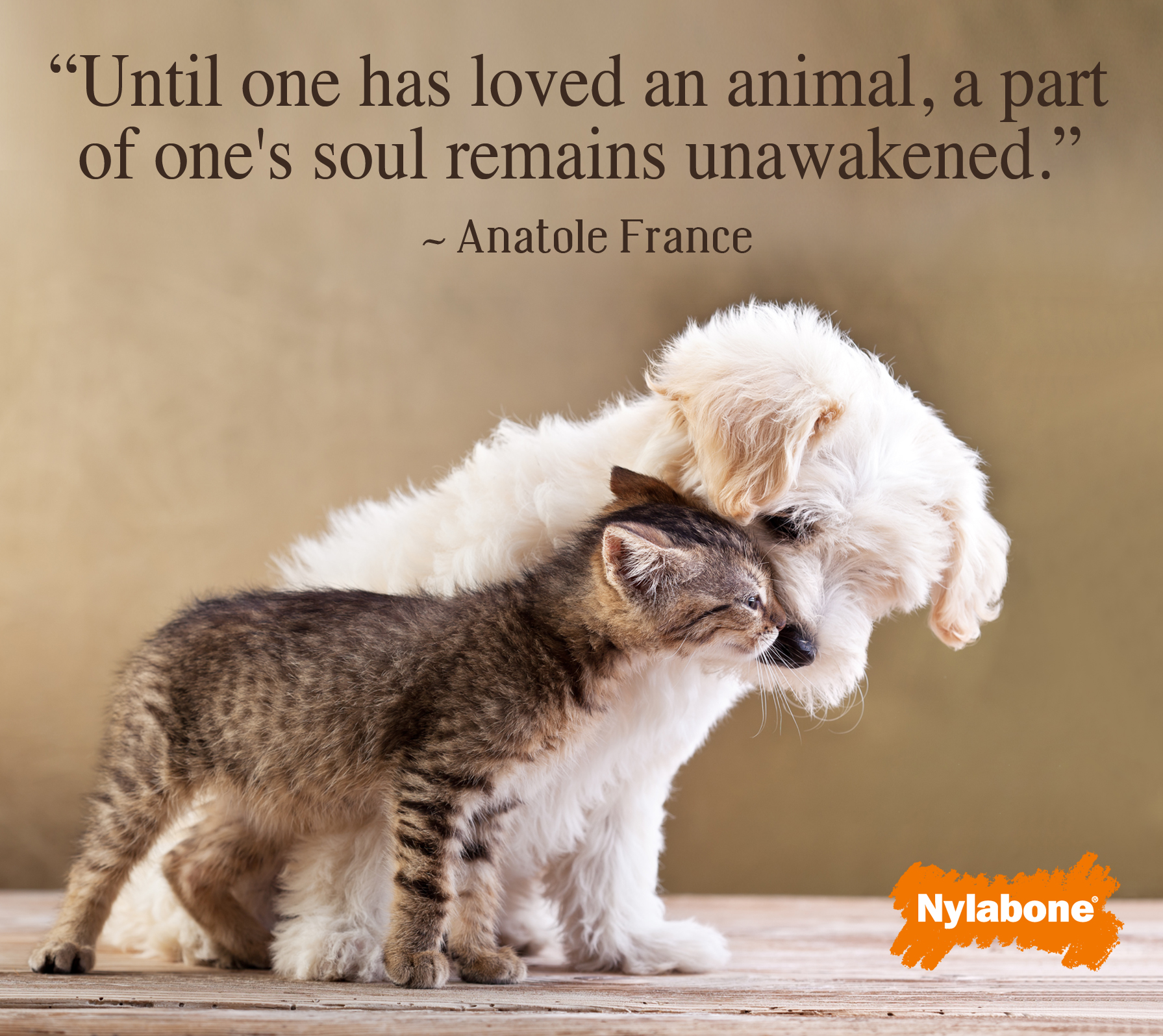 Pet Love Quotes QuotesGram