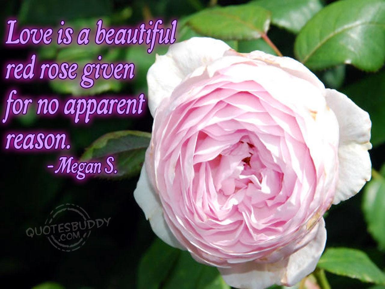 Roses With Quotes In Spanish. QuotesGram