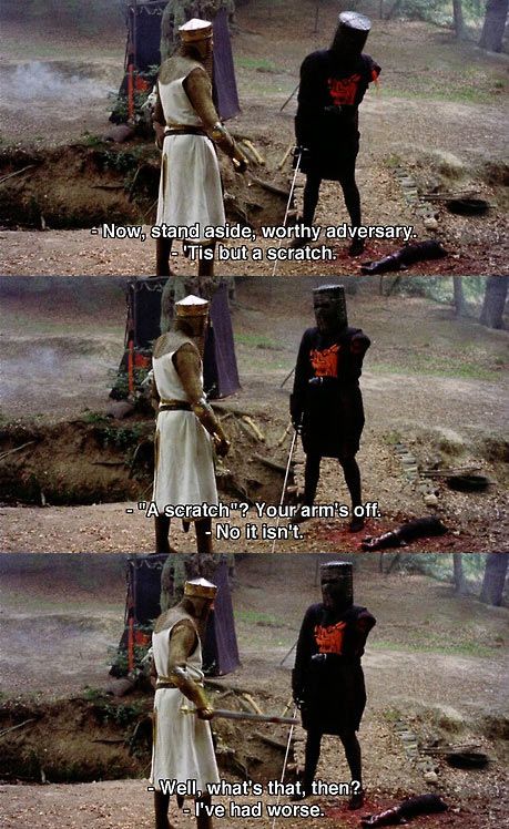 Monty Python Funny Quotes. QuotesGram