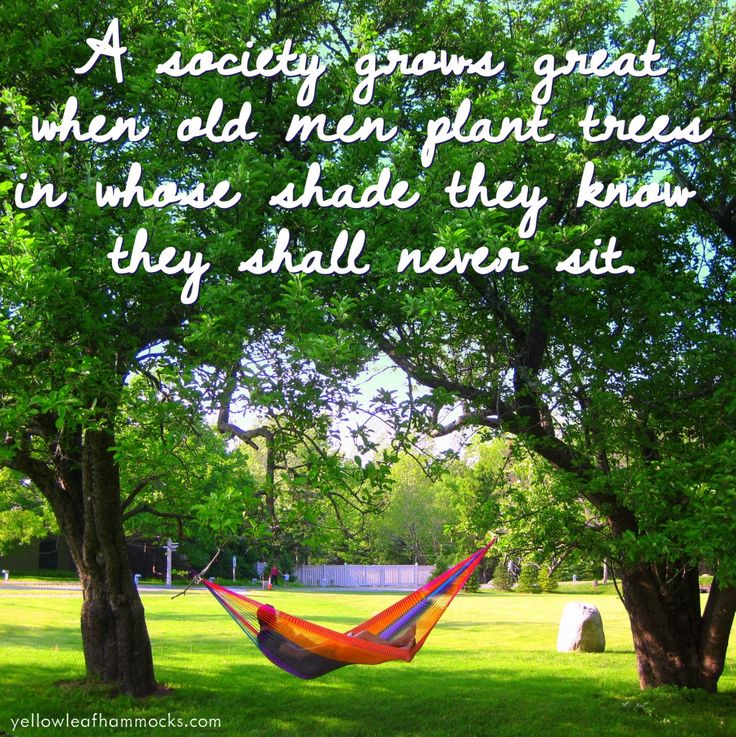 Quotes About Hammocks. QuotesGram