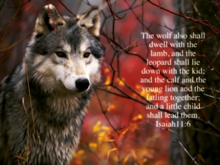 Bible Quotes About Animals. QuotesGram