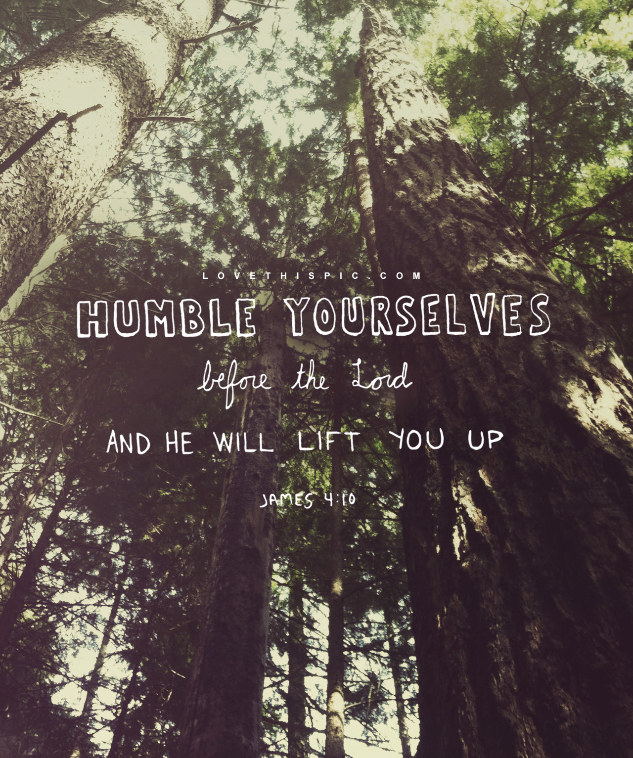 The Bible Being Humble Quotes. QuotesGram