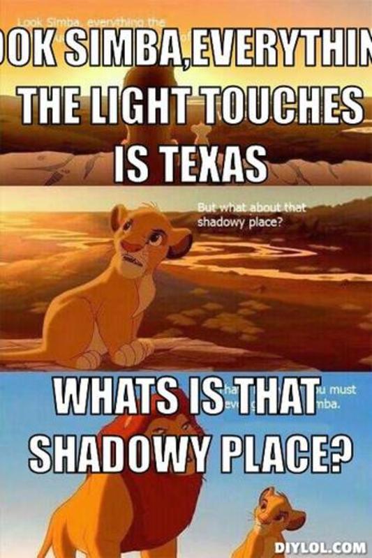 Everything The Light Touches Lion King Quotes. QuotesGram
