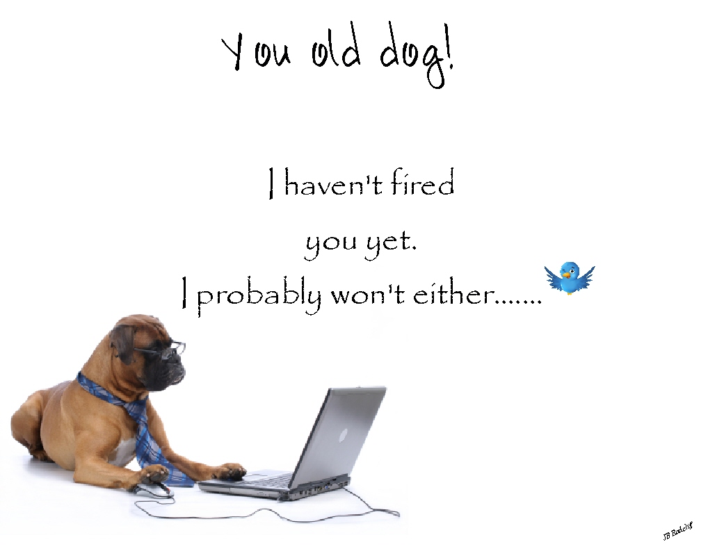 Old Dog Quotes