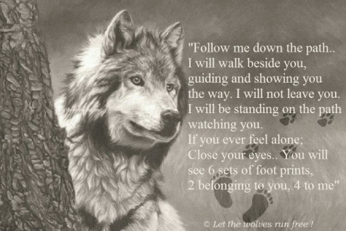 Alpha Female Wolf Quotes Quotes Wolf Beta Female. Quotesgram