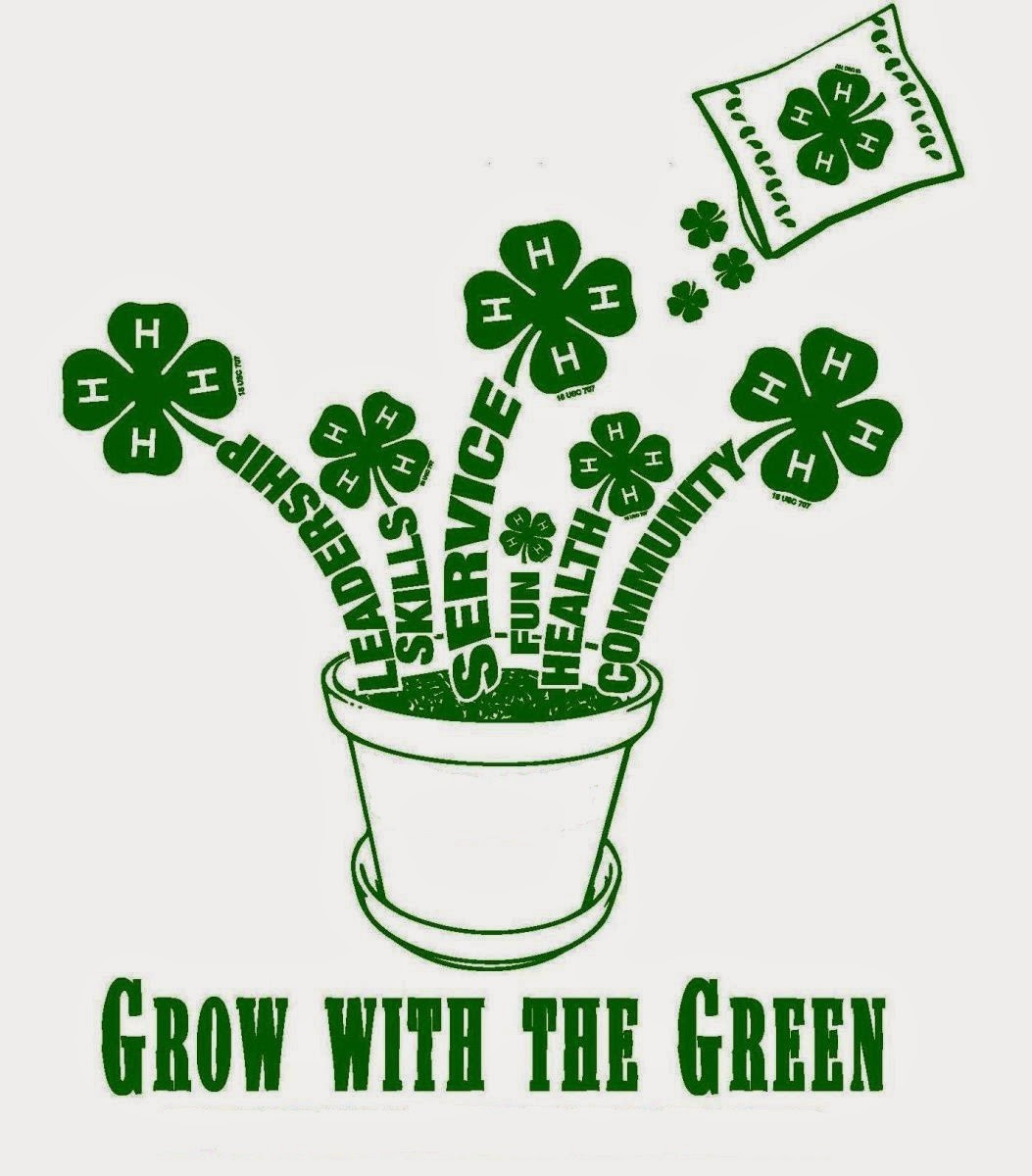 quotes-about-4-h-quotesgram