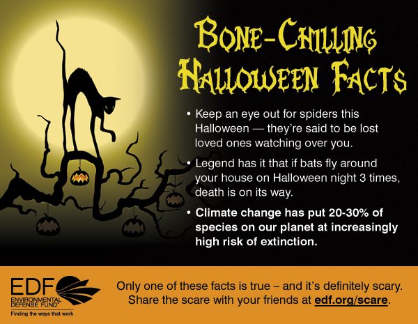 bone-chilling-quotes-quotesgram