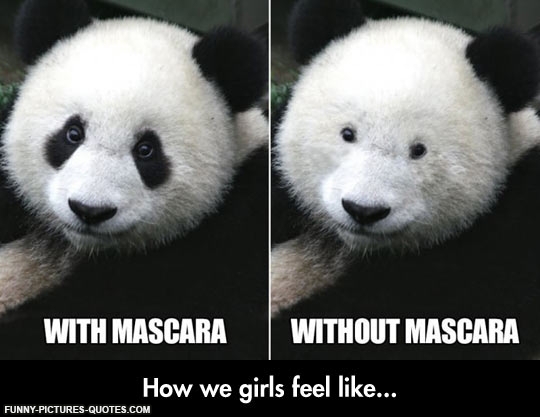 Silly Panda Quotes. QuotesGram