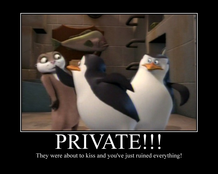 Penguin Madagascar 3 Quotes. QuotesGram