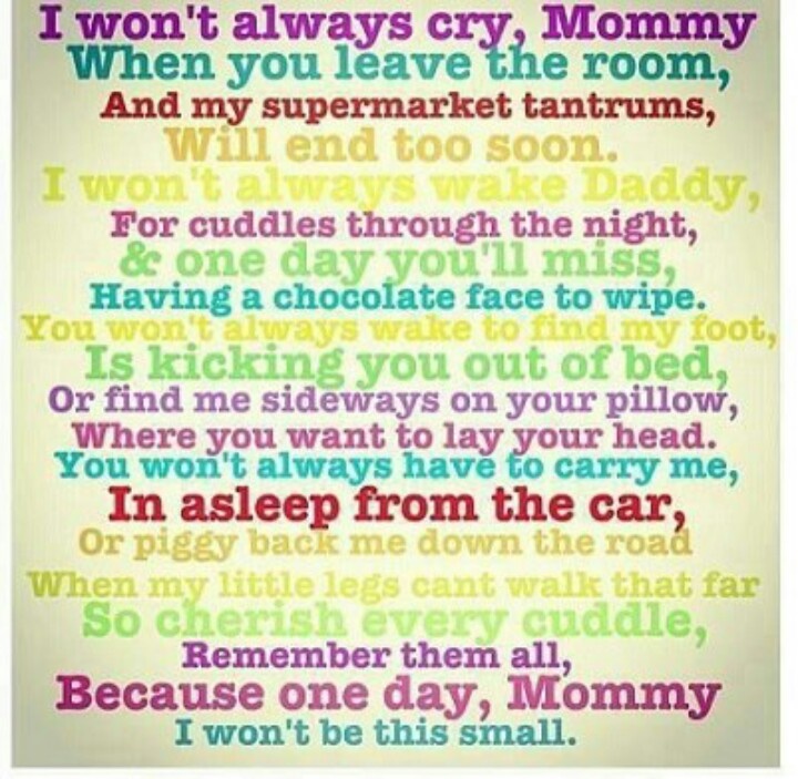cherish moments quotes cherish moments quotes