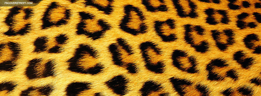 Animal Print Fb Covers Quotes Quotesgram