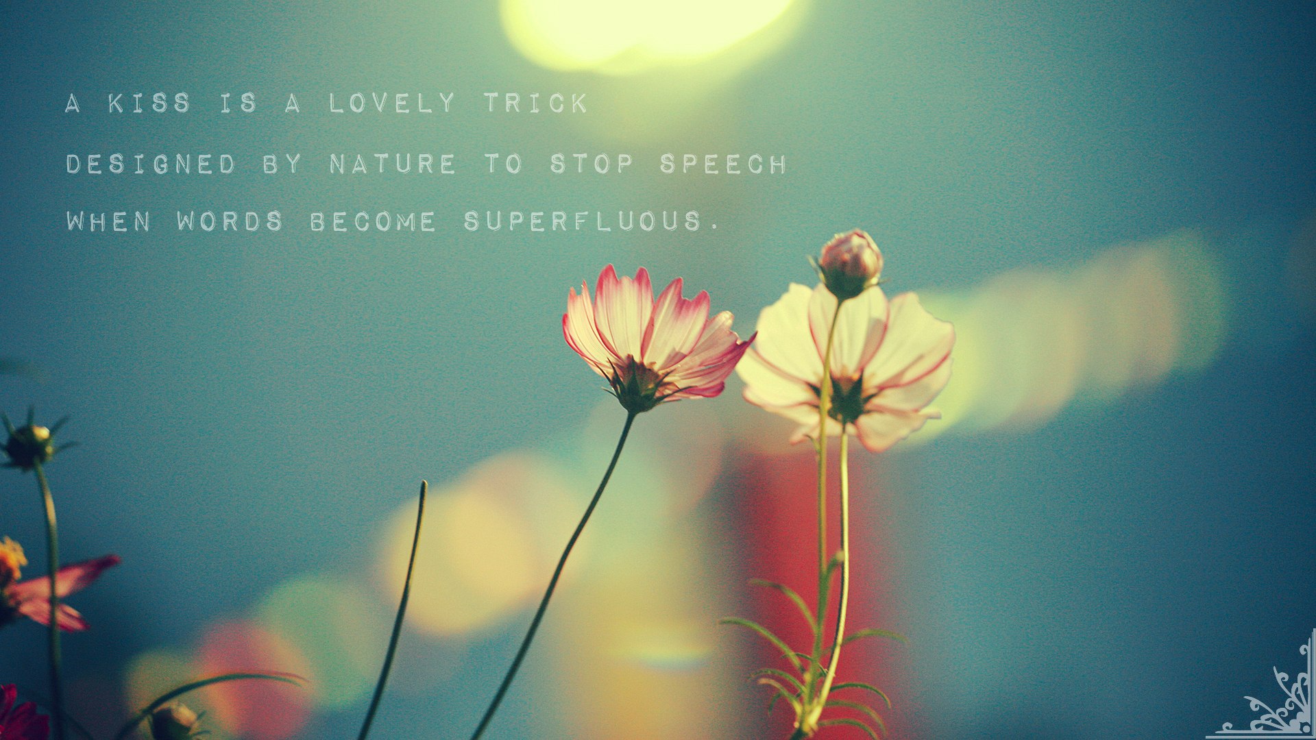 Nice Words Wallpapers  Wallpaper Cave