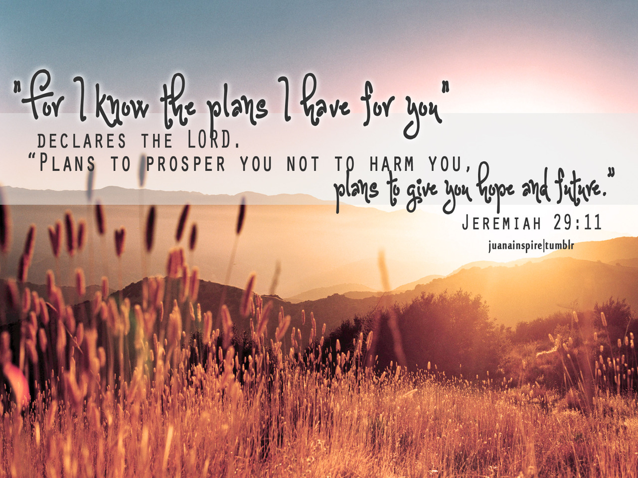 Bible Quotes About Gods Plan. QuotesGram