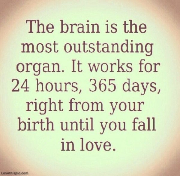Funny Quotes About The Brain. QuotesGram