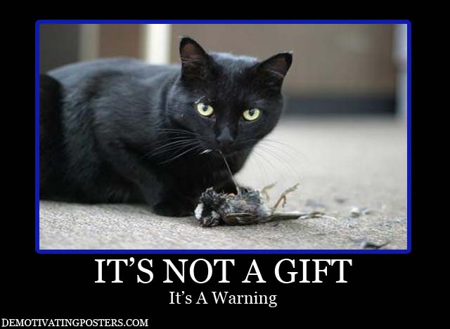 Dead Cat Quotes QuotesGram