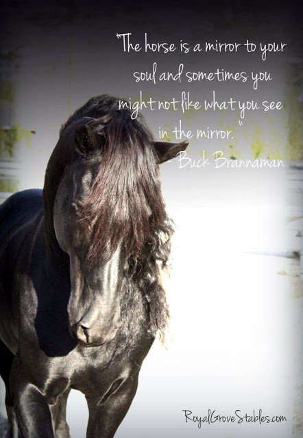 Spiritual Horse Quotes. QuotesGram