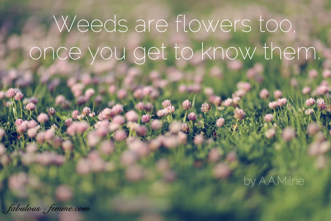 Weed Flower Quotes Inspirational Quotes. QuotesGram