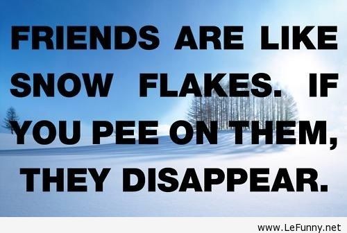 Funny Life Lesson Quotes. QuotesGram