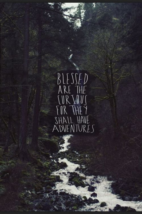 Cute Hippie Traveling Quotes Quotesgram