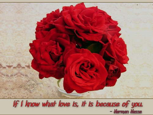 Red Roses And Friendship Quotes Quotesgram