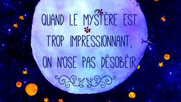Le Petit Prince Quotes In French. QuotesGram