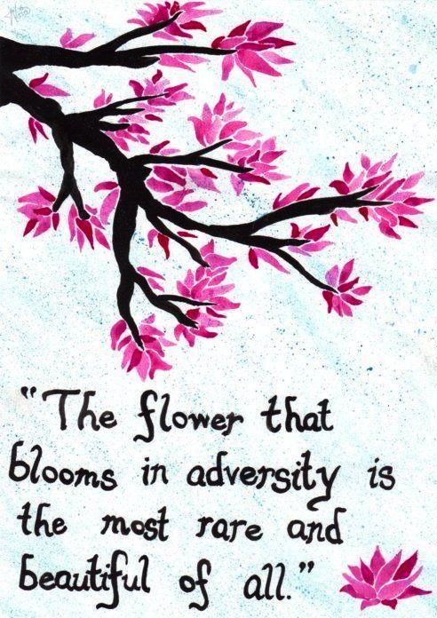 Inspirational Quotes About Flowers Blooming. QuotesGram