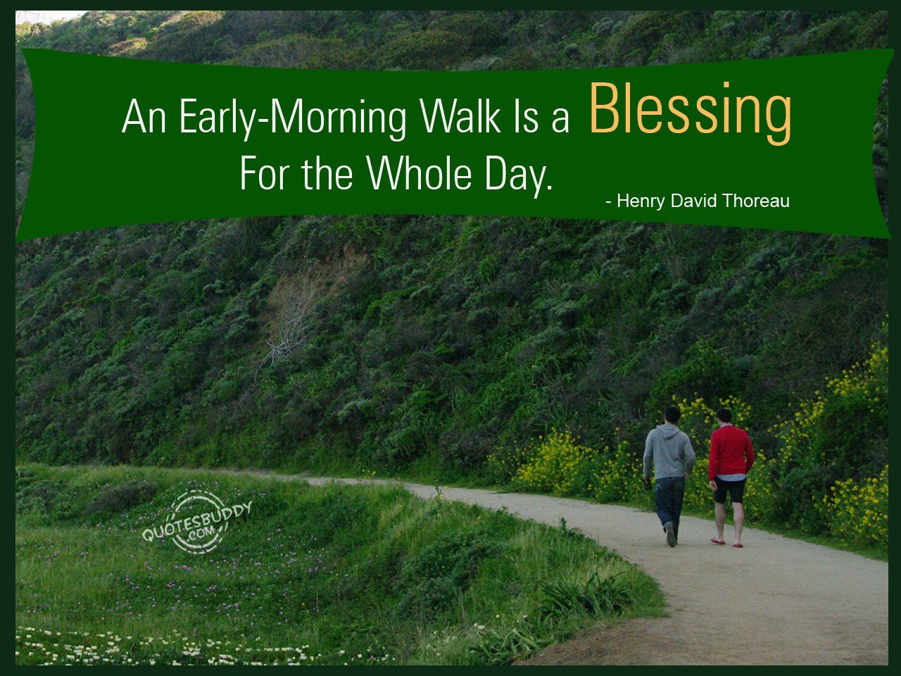 Morning Walk Quotes QuotesGram morning-walk-quotes-quotesgram