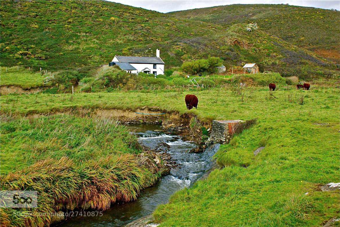 English Countryside Quotes. QuotesGram