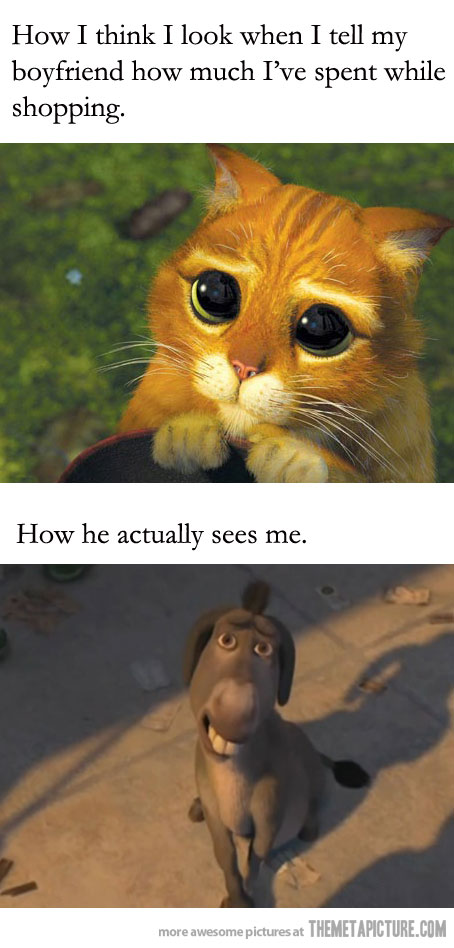 pix Funny Donkey Pics From Shrek hilarious donkey quotes quotesgram