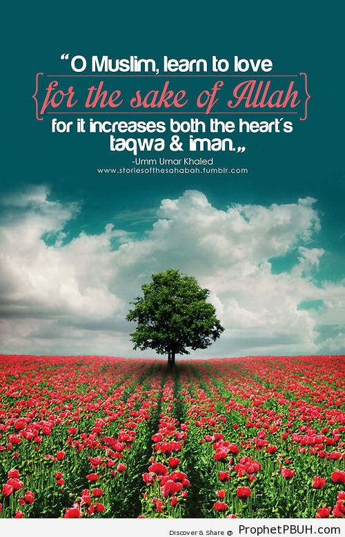 Islamic Quotes About Friendship. QuotesGram