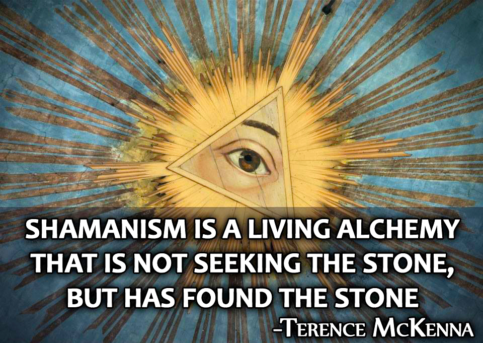 Terence Mckenna Quotes Motivational. QuotesGram
