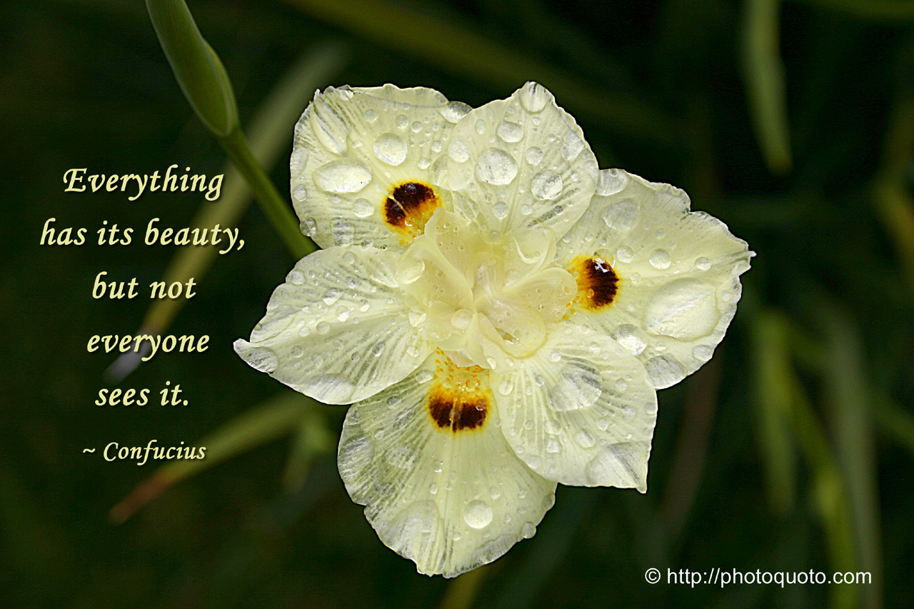 Raindrops Quotes And Sayings. QuotesGram