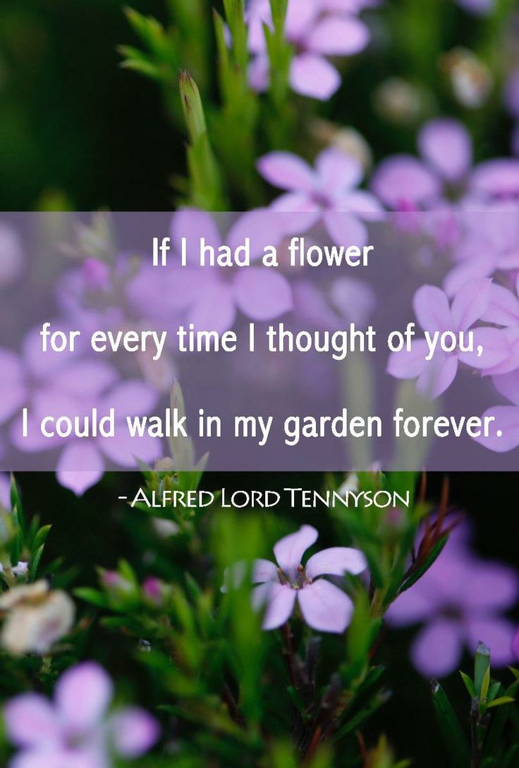 Sympathy Quotes For Flowers. QuotesGram