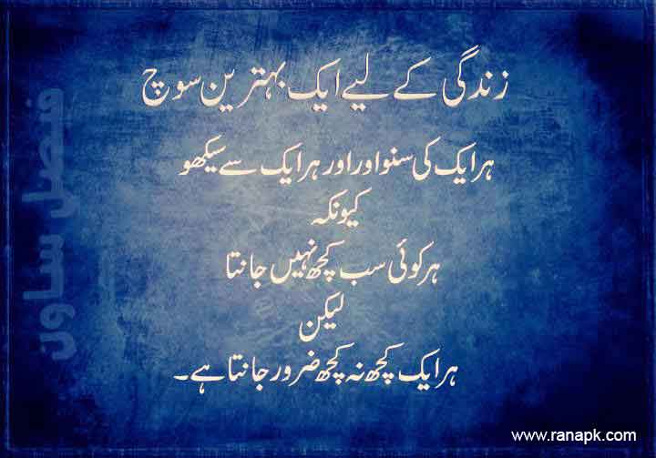 Urdu Novel Quotes Quotesgram