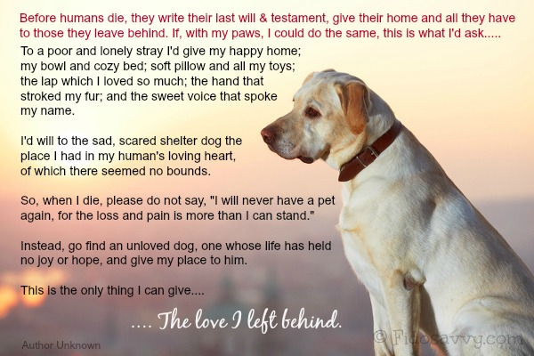 Simple For Dogs Who Passed Away Quotes. QuotesGram