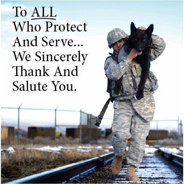 Veterans day for animals