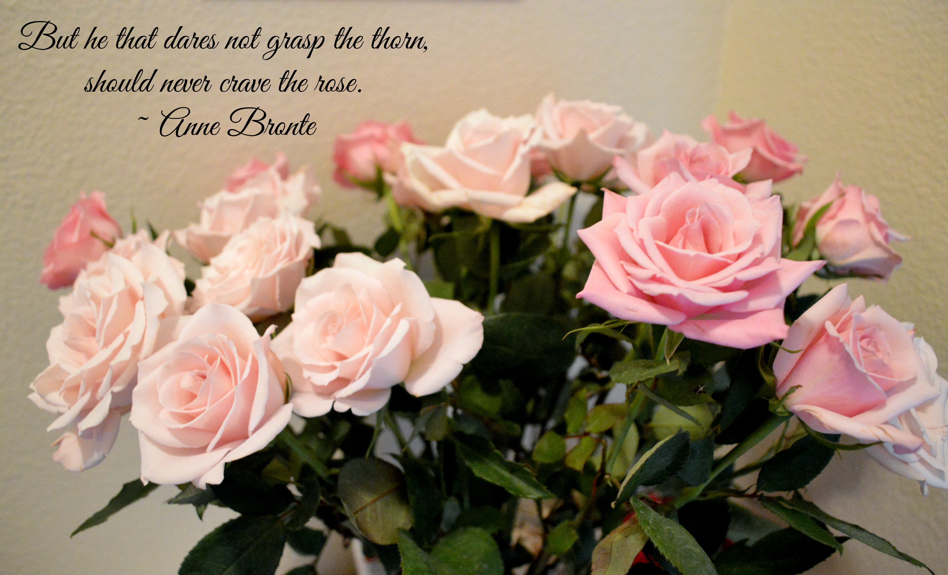 Rose Quotes QuotesGram