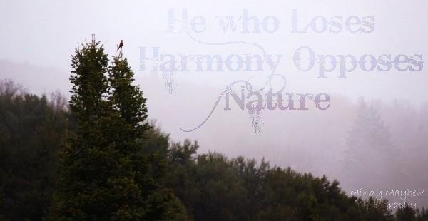 Quotes About Peace And Nature. QuotesGram