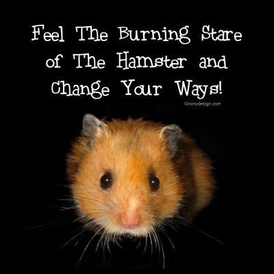 Funny Hamster Quotes. QuotesGram