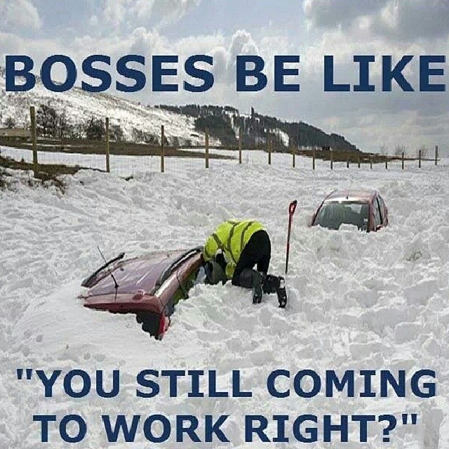 Cold Snowy Day Quotes QuotesGram