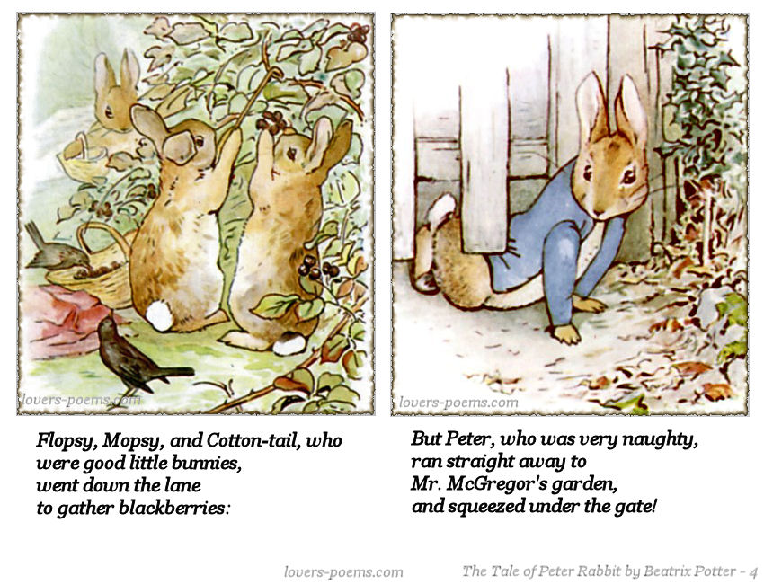 Tale Of Peter Rabbit Quotes. QuotesGram