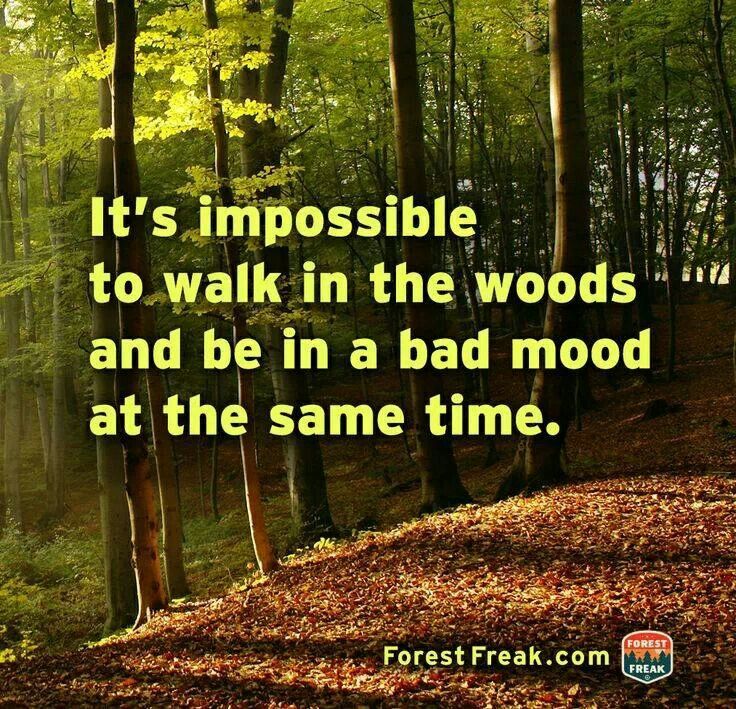 Hug A Tree Quotes. QuotesGram