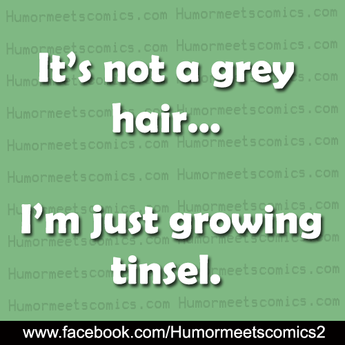 Gray Hair Funny Quotes. QuotesGram