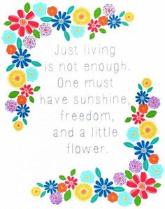 Sunshine Quotes And Flower Quotesgram