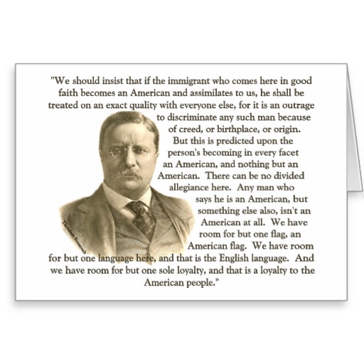 Theodore Roosevelt Quotes Immigrant. QuotesGram