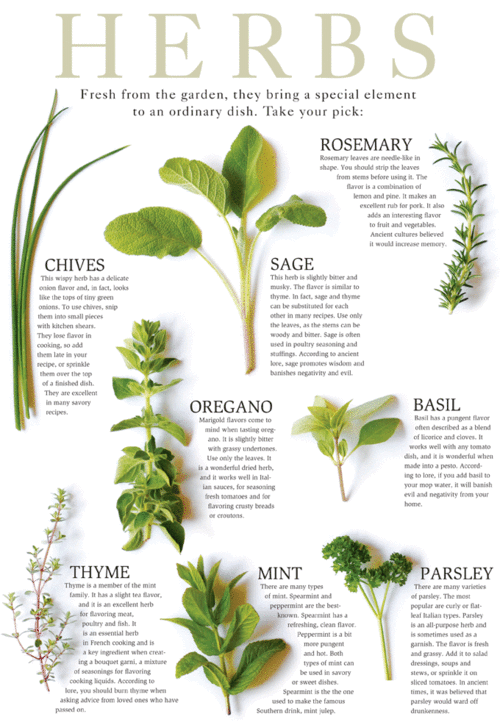 Quotes About Cooking With Herbs. QuotesGram on {keyword}
