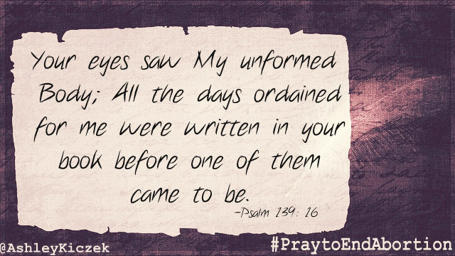 Bible Quotes Pro Life